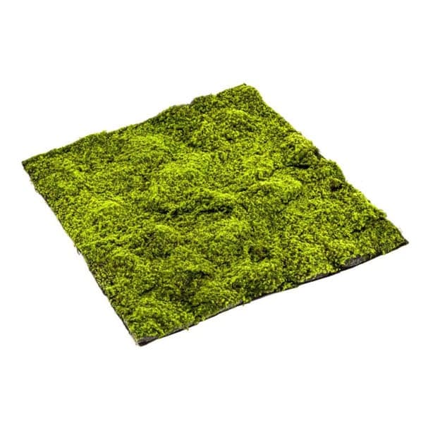 Artificial Sphagnum Moss Mat 100x100cm - Sherries Estates