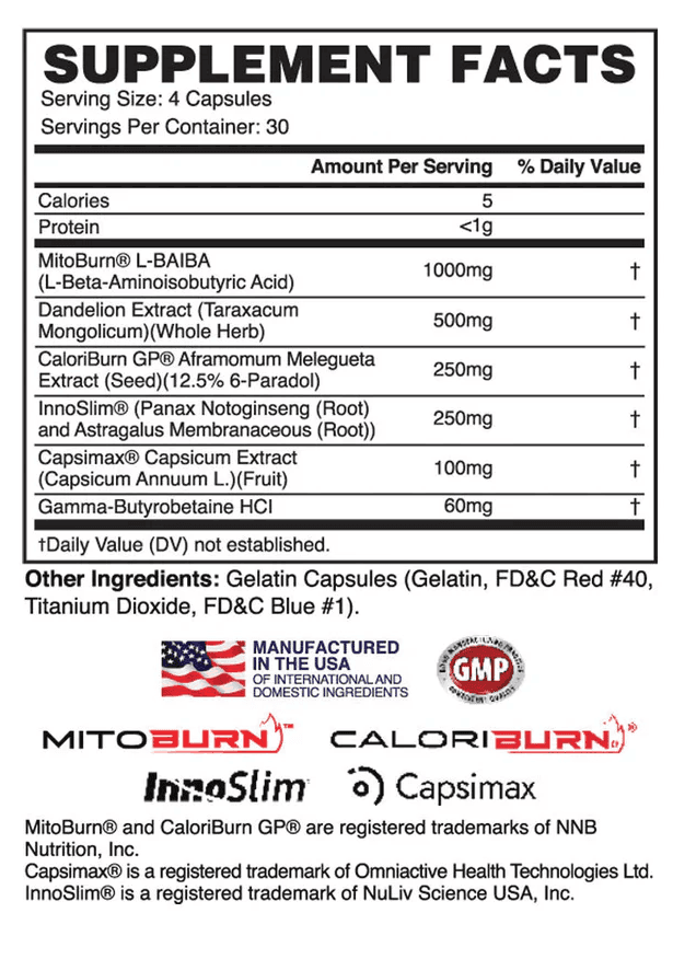 Apollon Nutrition Molotov V3 - Non-stim Fat Burner & Thermogenic - 120 Cap