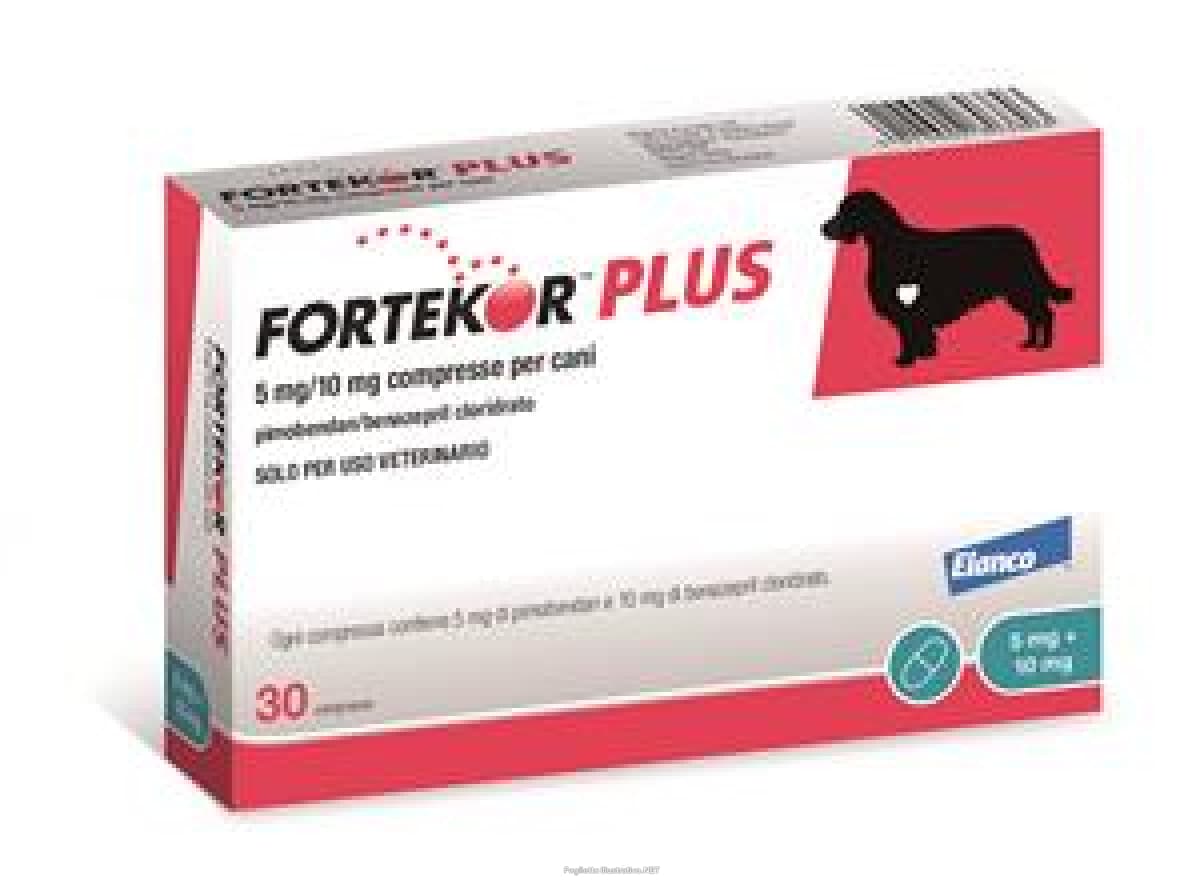 fortekor plus 30 compresse 5+10mg bugiardino cod: 104968033