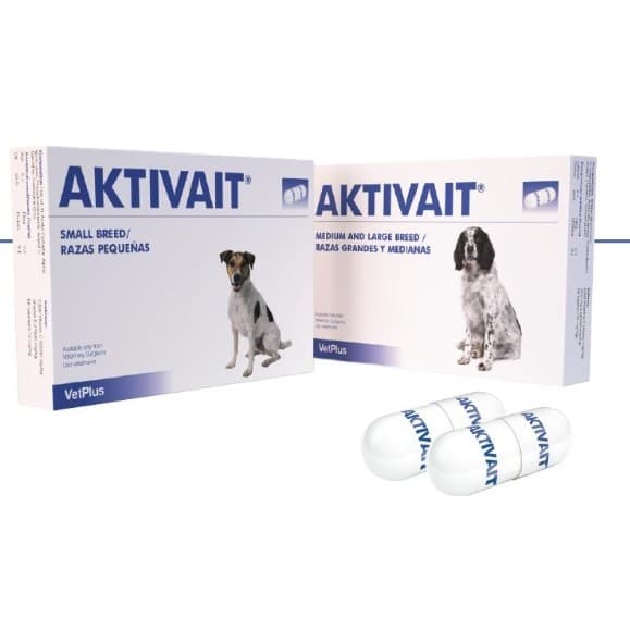 VetPlus Aktivait for Brain Function in Medium and Large Older Dogs ...