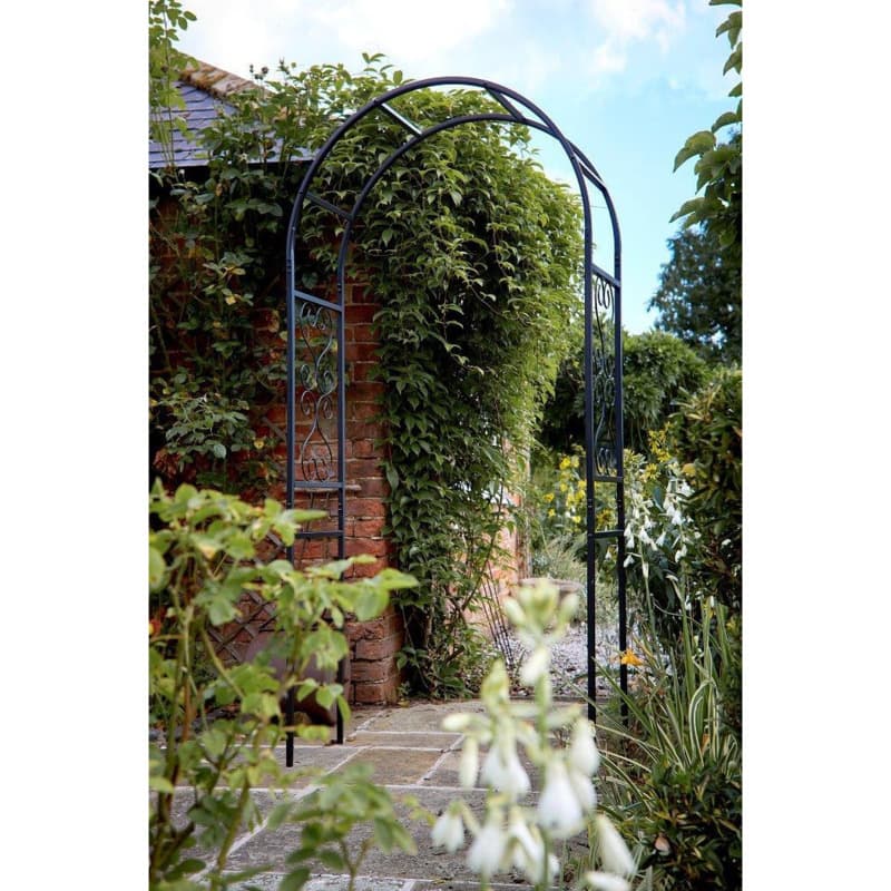 Tom Chambers Eden Garden Arch, Steel, Trellis by Downtown | ufurnish.com