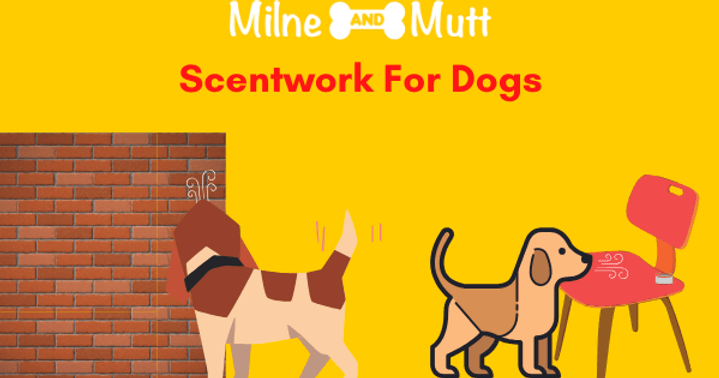 What is Scentwork For Dogs?
