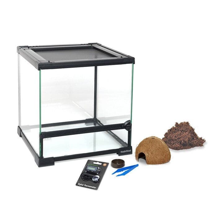 HabiStat Spider Starter Kit | Blue Lizard Reptiles