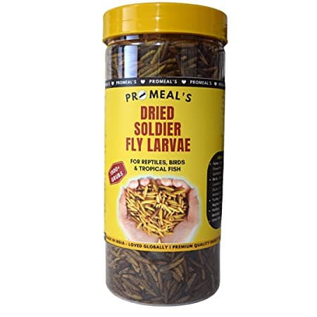 Dried Black Soldier Fly Larvae | Promeal