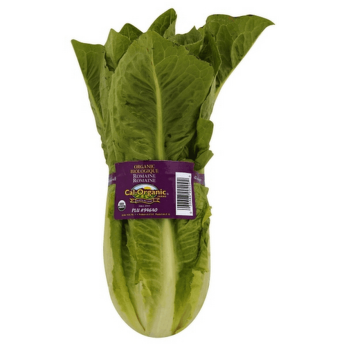 Organic Green Romaine Lettuce Head - Lunds & Byerlys