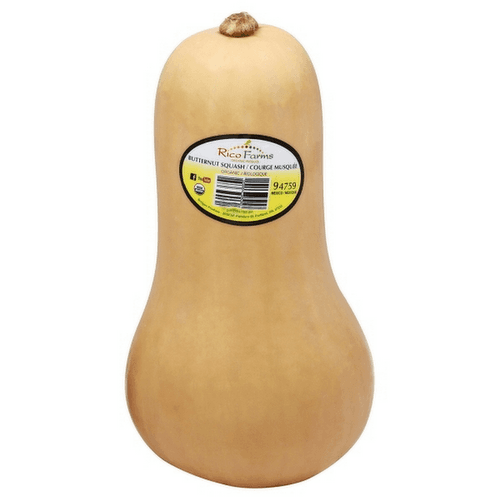 Organic Butternut Squash - Lunds & Byerlys