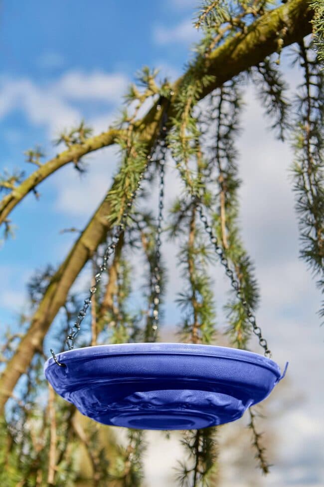Hanging Bird Bath Hanging Bird Feeder - Hanging Bird Baths for Outdoors ...