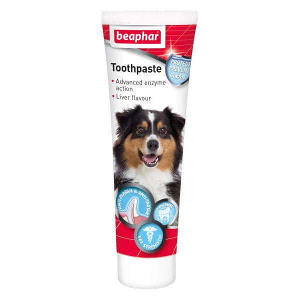 Beaphar Liver Flavoured Dog Toothpaste 100g - Rookes Pet Products