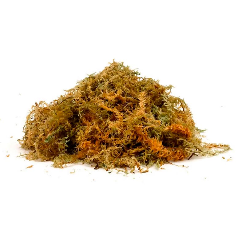 Habistat Sphagnum Moss 1kg - The Aquarium People