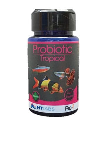 NT Labs Pro F Probiotic Tropical fish food – The Koi Pool