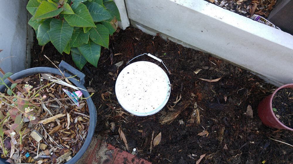 How To Set Up A Dog Poo Worm Farm | Treading My Own Path | Less waste ...