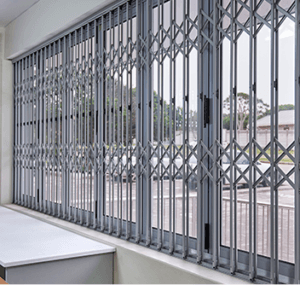 Trellidor Retractable Security Grille