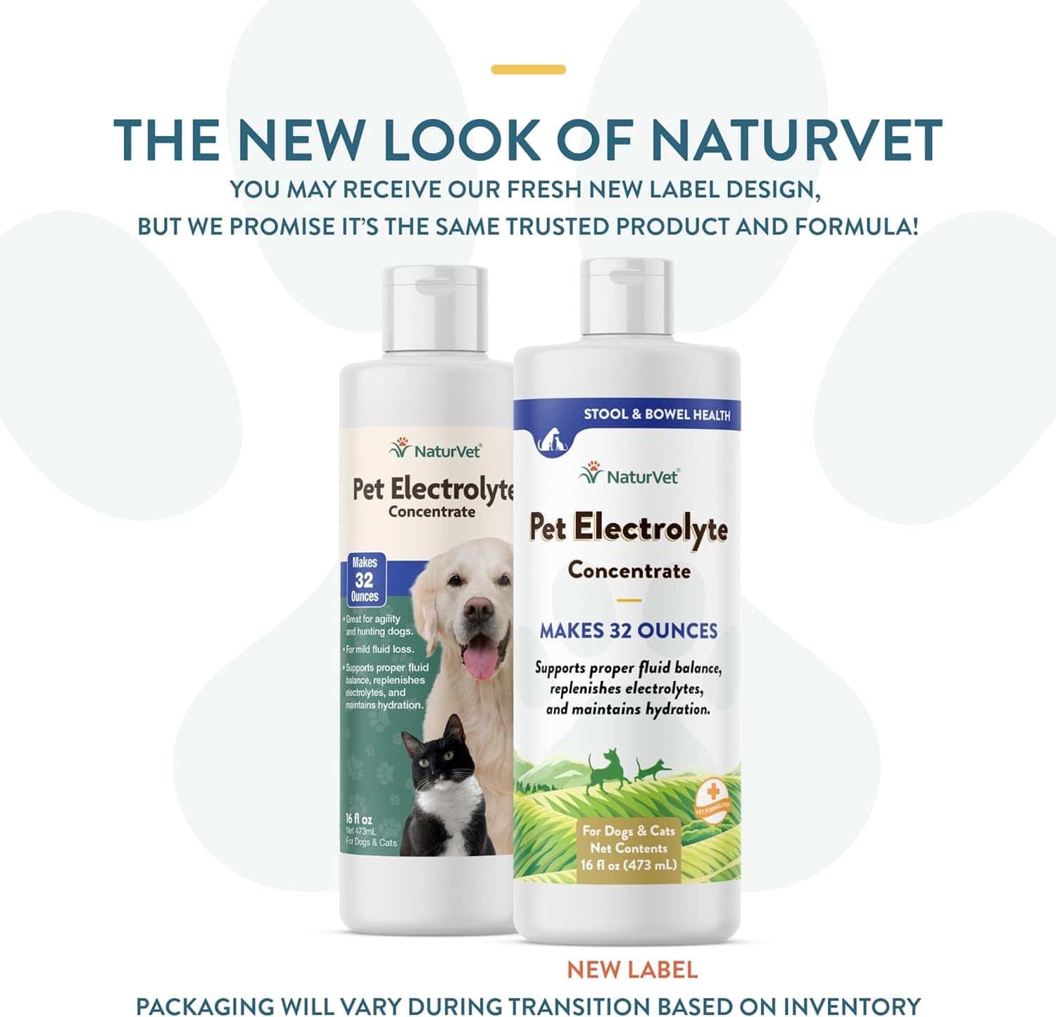 Electrolyte Balance For Dogs at Rebecca Guay blog