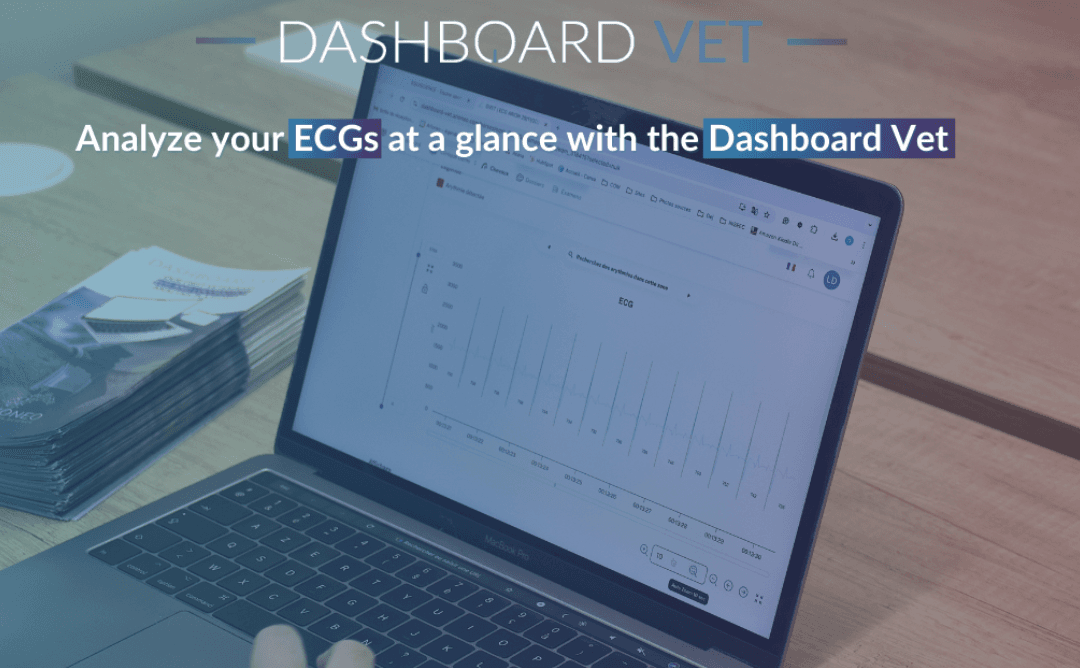Why Choose the Dashboard Vet for Equine ECG Analysis?
