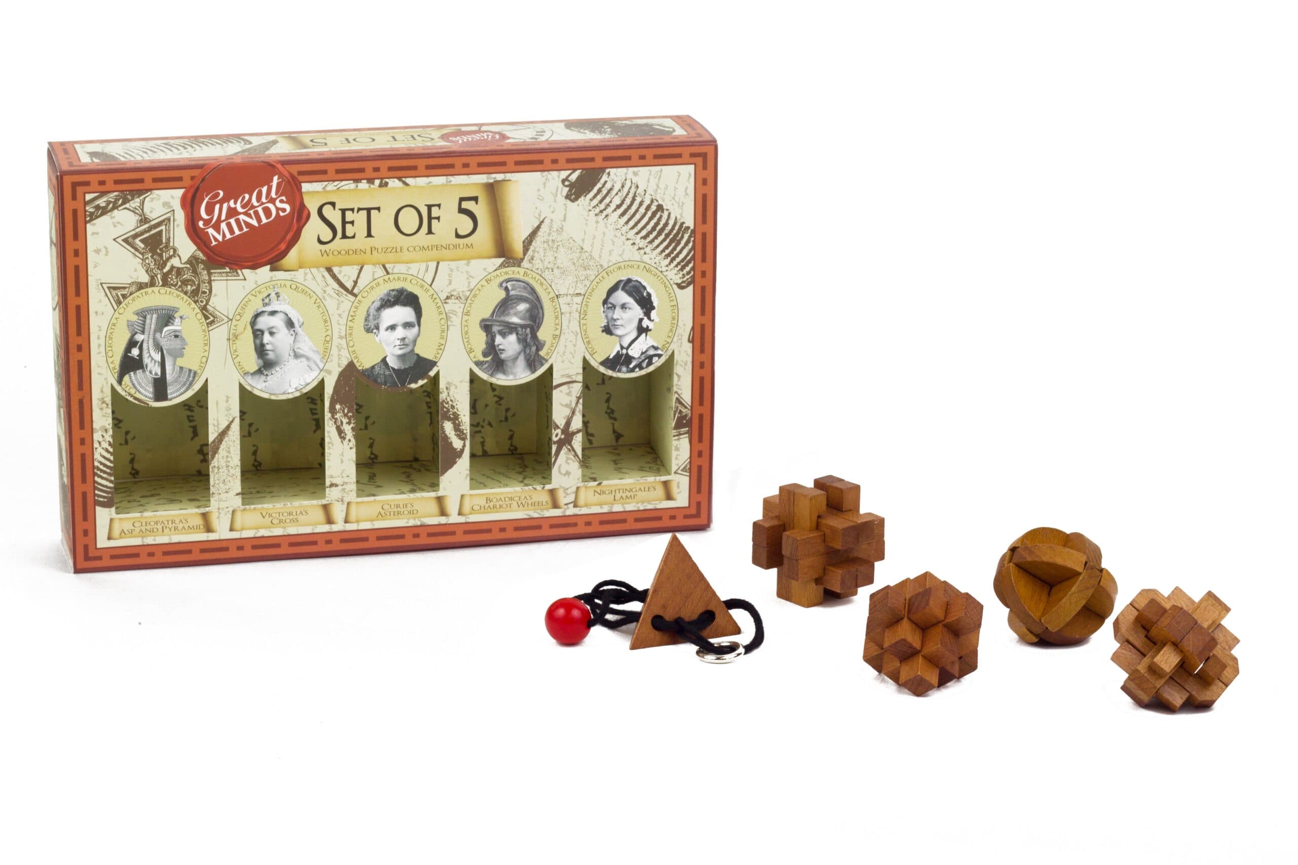 Professor Puzzle GREAT MINDS Set of 5 Puzzles - 3D Wooden & Metal ...