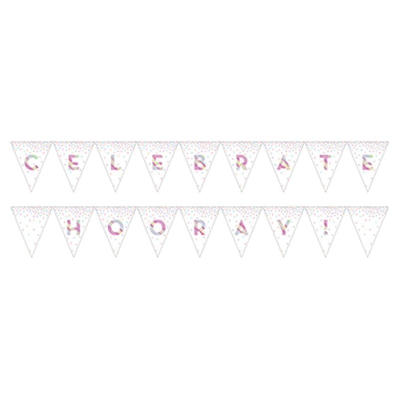 Creative Converting - Iridescent Pennant Banner Celebrate | Jomla.ae