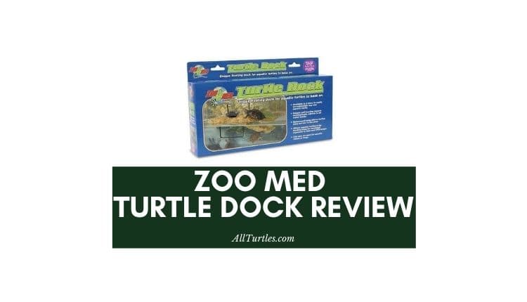 Zoo Med Turtle Dock