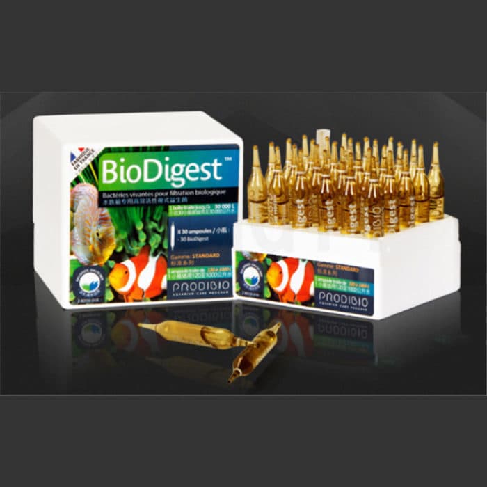 Prodibio BioDigest | Sklep Amazing Reef | żywe bakterie do akwarium