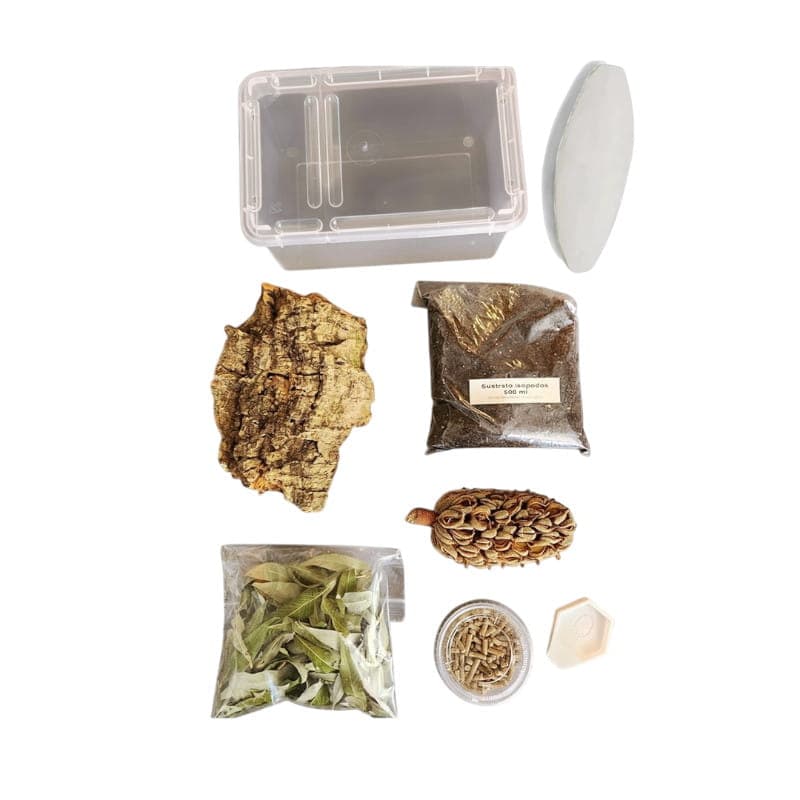 Isopod Starter Kit v2 - ANTDERGROUND
