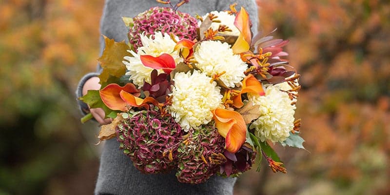 12 Best Autumn Flowers & Foliage for Bouquets - Appleyard London