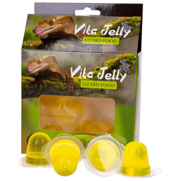 Reptiles Planet Vita Jelly Dish