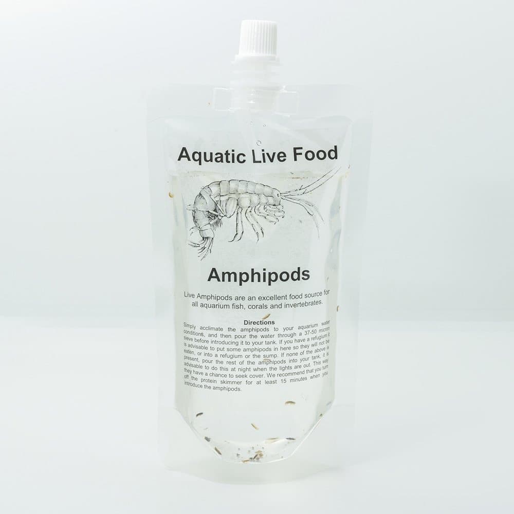 Amphipods Behaviour & Diet - Aquatic Live Food