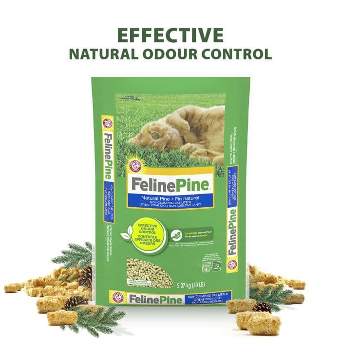 Arm & Hammer Feline Pine™ Non-Clumping Natural Cat Litter, Natural Pine ...