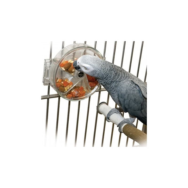 Creative Foraging Systems - Original Foraging Wheel | AvonturiaShop