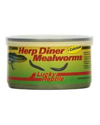 Lucky Reptile Herp Diner Mealworms with Calcium - Lucky Reptile Herp ...