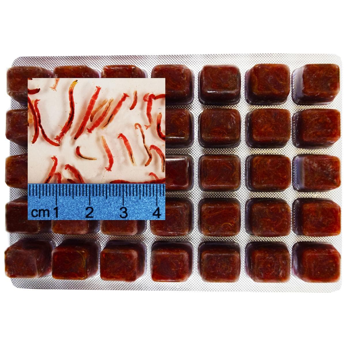 Frozen Bloodworm 3.5 oz Cube Trays | Frozen Fish Food
