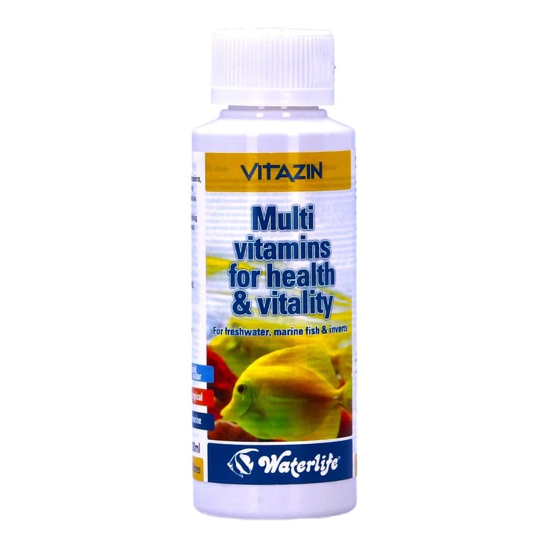Waterlife Vitazin 100ml - Buy Aquarium Fish
