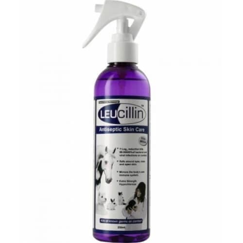 Leucillin Antiseptic Skincare Spray