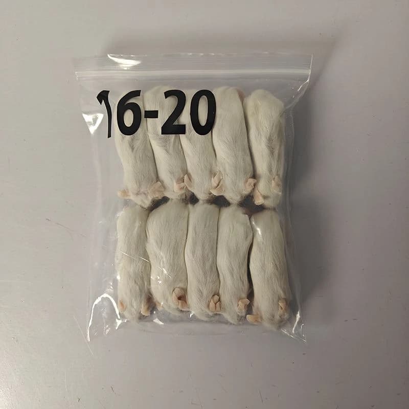 China Frozen Rats Suppliers Factory - Wholesale Bulk Frozen Rats