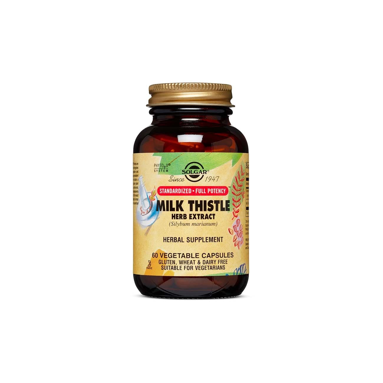 SOLGAR Standardized Full Potency Milk Thistle Herb Extract - CITYPARA