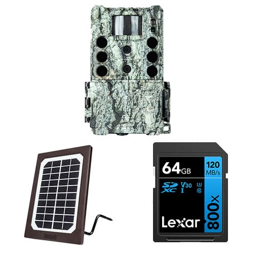 Bushnell CORE DS-4K No Glow Trail Cam Ultimate Kit (Treebark Camo 32MP ...