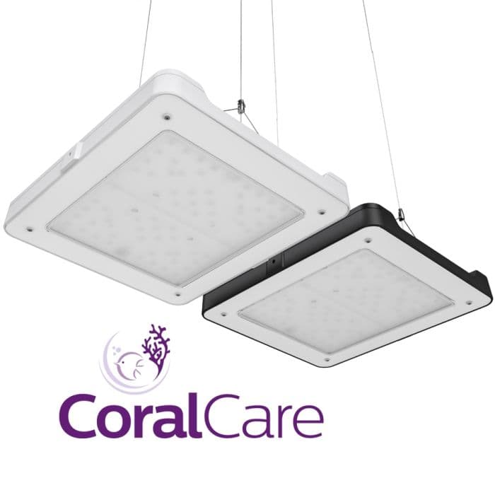 Philips CoralCare Gen2: Only LED to Rival T5 & Metal Halide | CoralVue