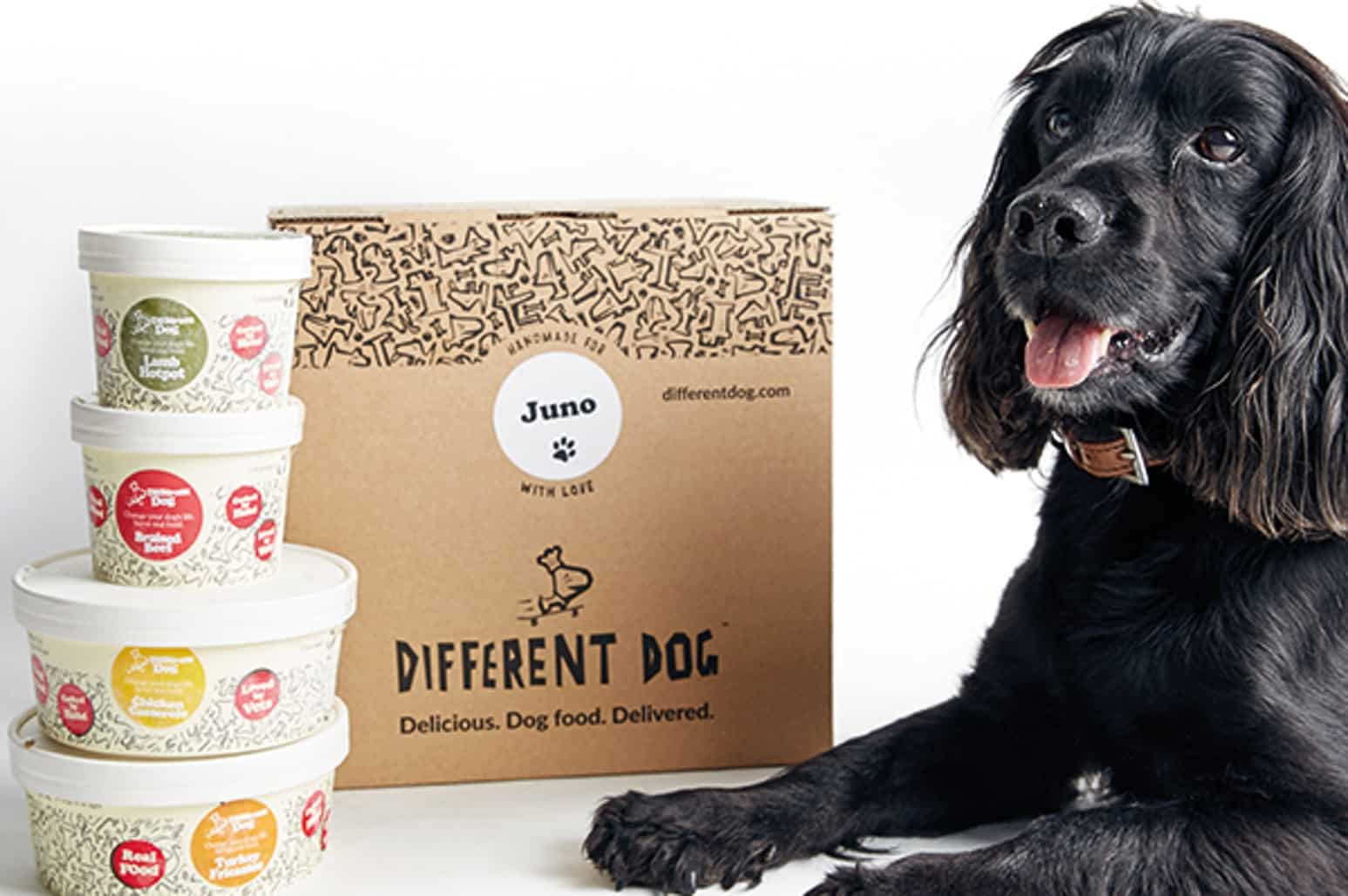 Success: UK-Based Fresh Dog Food Subscription Service Different Dog To ...