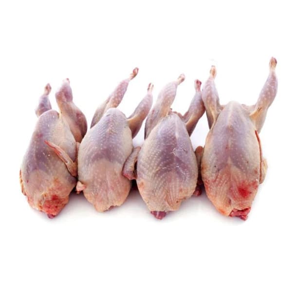 Frozen Whole Quail Jumbo - 6/6pk