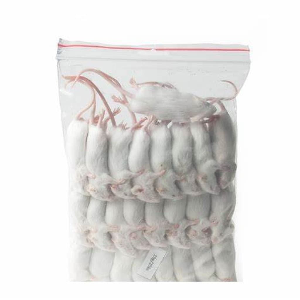 Frozen Mice Regular 25 pieces 15-25g No Label Bag