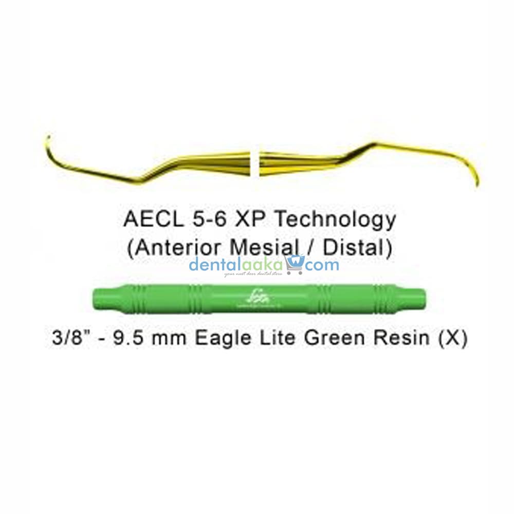 Buy AMERICAN EAGLE CURETTE LANGER 5-6 GREEN RESIN HANDLE WITH XP ...