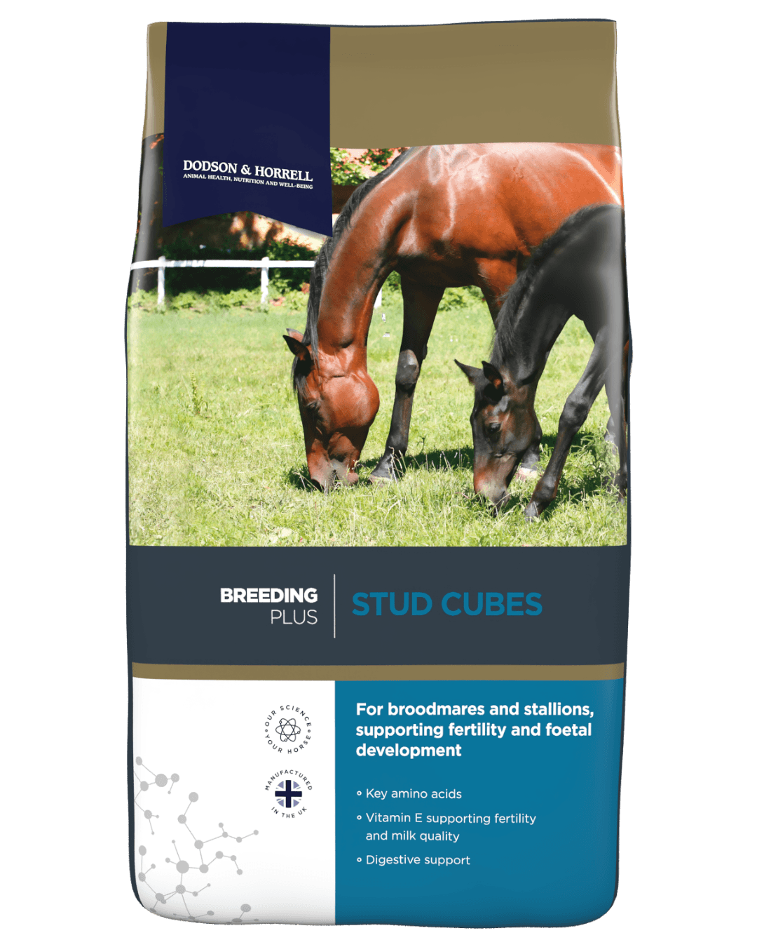 Stud Cubes | For broodmares and stallions | Dodson Horrell