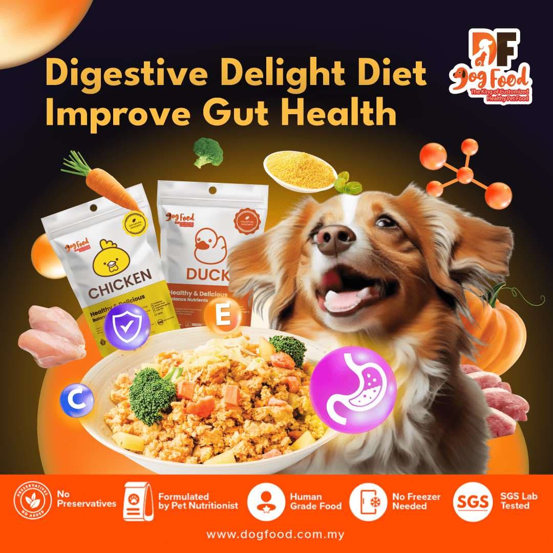 DF Digestive Care & Gut Health Diet with PostBiotic Dog Food - DF Dog ...