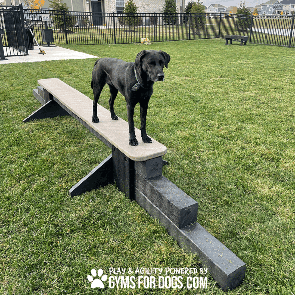 Trixie Dog Activity Agility Balance Beam