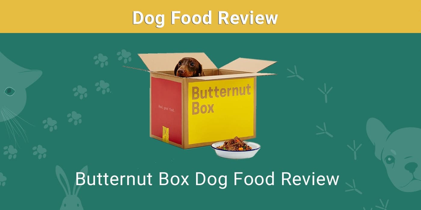 Butternut Box Dog Food Subscription Review 2026: Our Expert’s Opinion ...