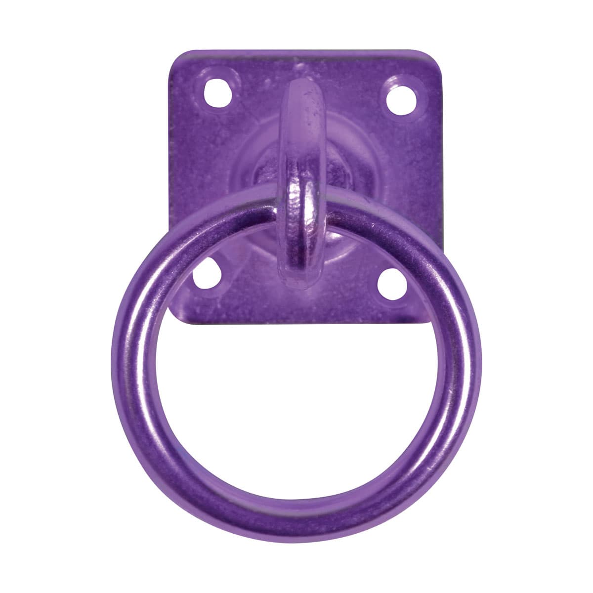 Perry Equestrian Swivel Tie Ring on Plate - Elite Equestrian