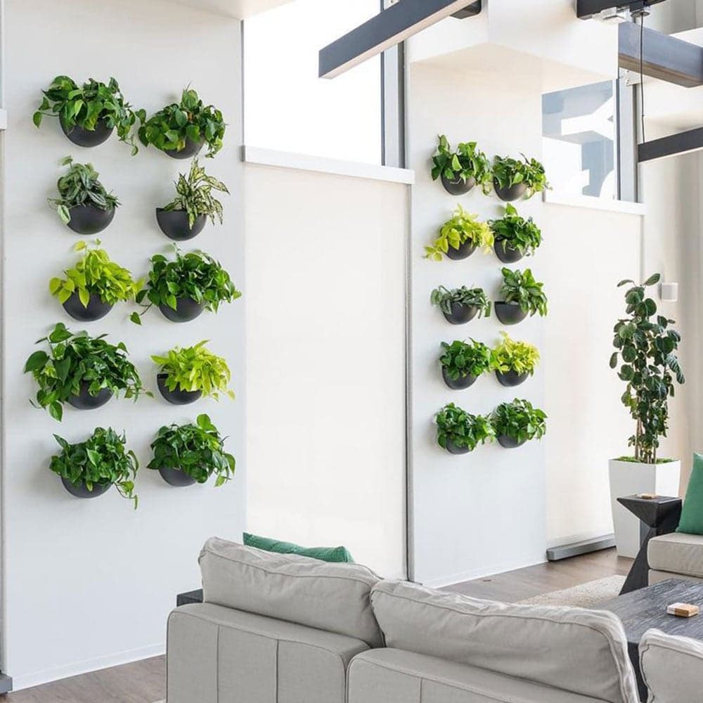 Vertical Gardening: How to Create a Living Wall Using Wall-Mounted Planters