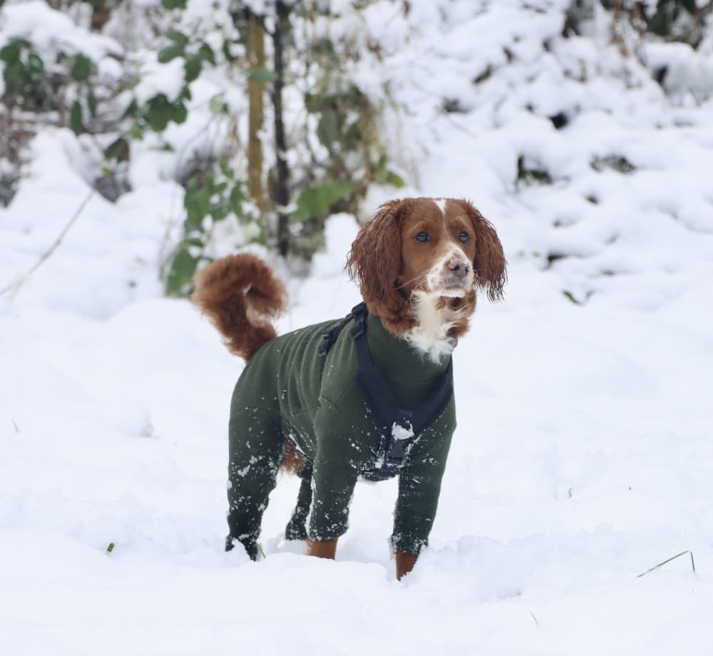 Polartec Fleece Dog Suit - Rainproof, Breathable, Warm and Washable ...