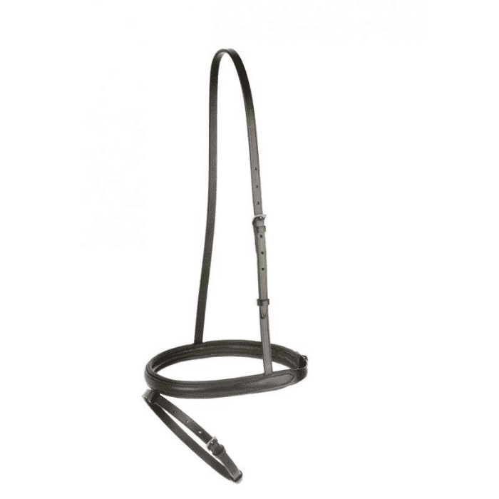 Kincade Flash Noseband - Equine Superstore
