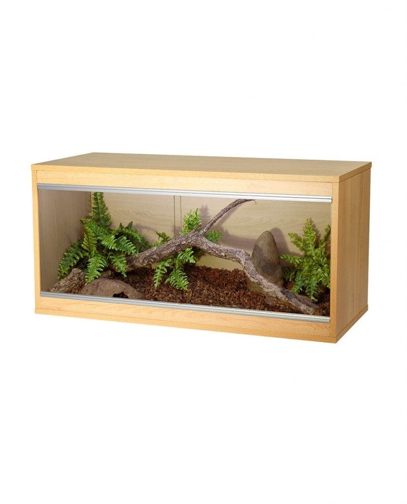 VivExotic Repti-Home Medium Vivarium | Wooden Vivarium UK | Evolution ...