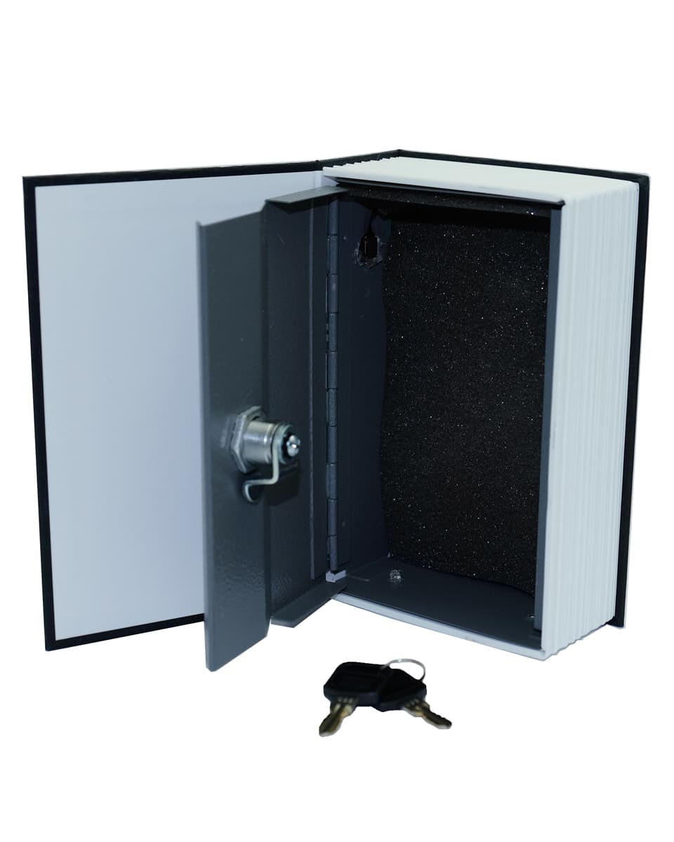 Covert Dictionary Book Safe Hidden Surveillance Nanny Camera - Family Safe